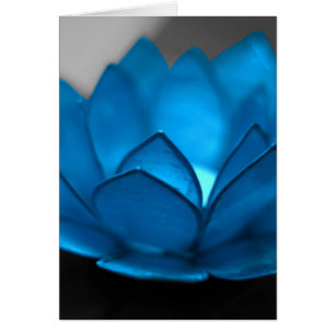 Blauer Lotos-Blume