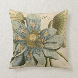 Blauer Lotos-Blume auf TAN-Hintergrund mit Kissen