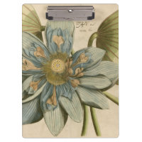 Blauer Lotos-Blume auf TAN-Hintergrund mit