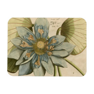 Blauer Lotos-Blume auf TAN-Hintergrund mit Magnet