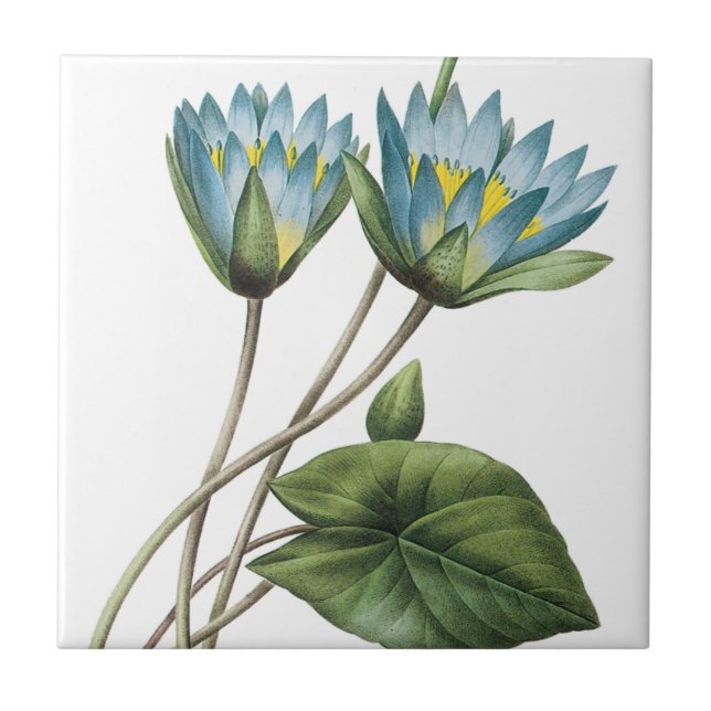 BLAUER LOTOS-BLUMEN TRIVET FLIESE (Vorderseite)