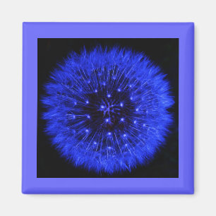 Blauer Löwenzahn-Hauch-Entwurfs-Magnet Magnet