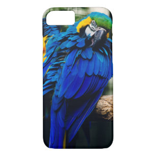 Blauer Macaw-Papagei, exotischer tropischer Vogel Case-Mate iPhone Hülle