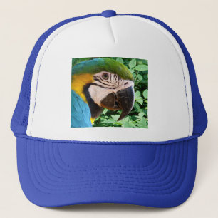 Blauer Macaw-Papageien-Hut Truckerkappe