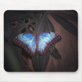 Blauer Maler Mousepad