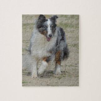 Blauer Merle Australier-Schäfer Puzzle