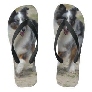 Blauer Merle Australischer Hirte Flip Flops
