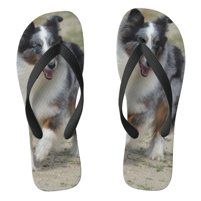 Blauer Merle Australischer Hirte Flip Flops (Fußbett)
