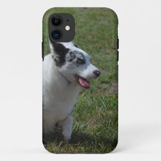Blauer Merle Corgi-Hund Case-Mate iPhone Hülle