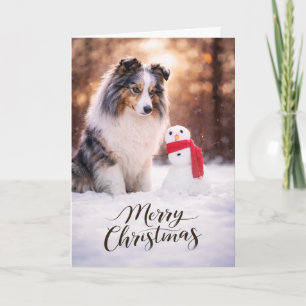 Blauer Merle Sheltie Weihnachtsmann aus Schnee Feiertagskarte