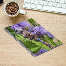 Blauer Mit Augen Darner Dragonfly auf der Blume Notizblock