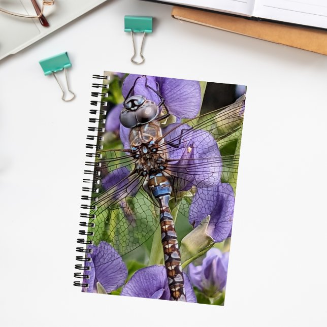 Blauer Mit Augen Darner Dragonfly auf der Blume Notizbuch (In Situ)