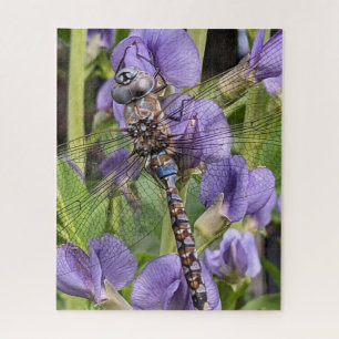 Blauer Mit Augen Darner Dragonfly auf der Blume Puzzle