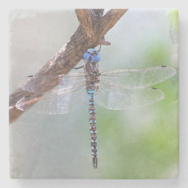 Blauer mit Augen Darner Dragonfly Steinuntersetzer