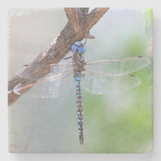 Blauer mit Augen Darner Dragonfly Steinuntersetzer (Vorderseite)