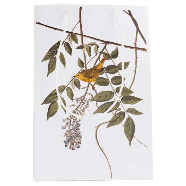 Blauer Mit Augen Gelber Audubon-Vogel auf Wisteria Mittlere Geschenktüte (Vorderseite)