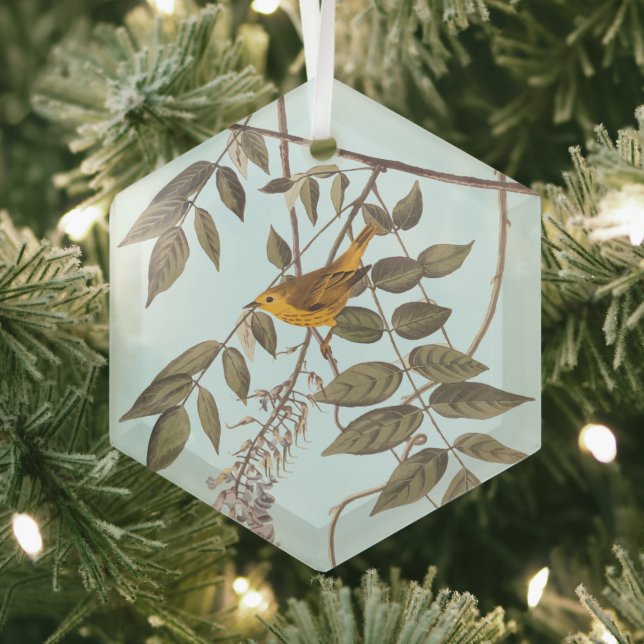 Blauer Mit Augen Gelber Audubon-Vogel auf Wisteria Ornament Aus Glas (Insitu)