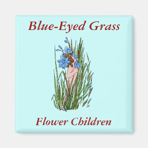 Blauer Mit Augen Gras Magnet