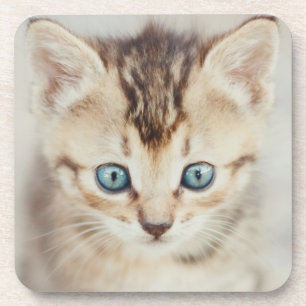 Blauer mit Augen Kitty Getränkeuntersetzer