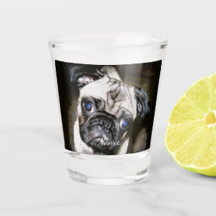 blauer mit Augen Mops gegenüber Thunder _Cove Schnapsglas