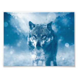 Blauer mit Augen Wolf Fotodruck