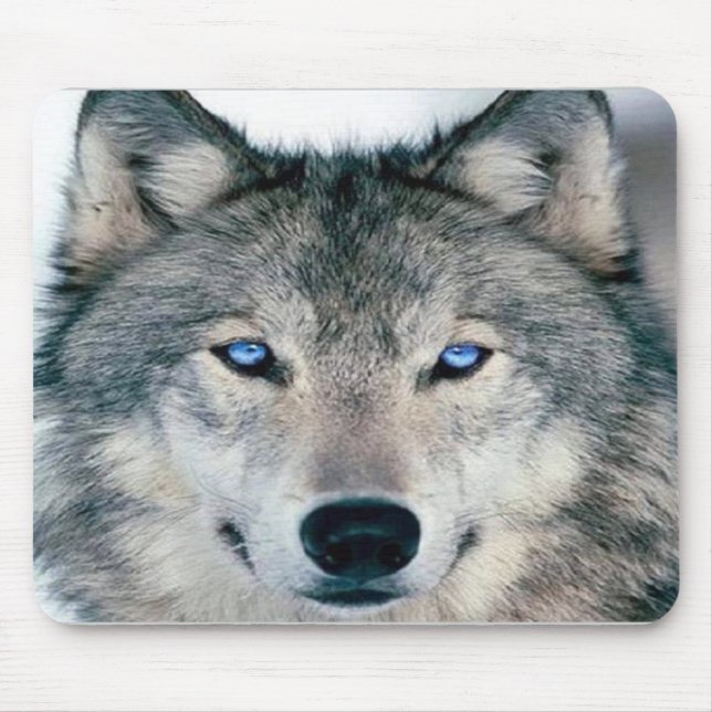 Blauer mit Augen Wolf Mousepad (Vorne)