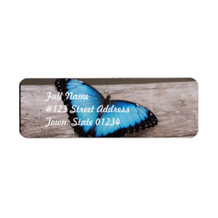 Blauer Morpho Schmetterling