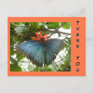 Blauer Morpho-Schmetterling auf Blumen-Dankeschön- Postkarte