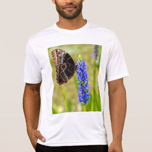 Blauer Morpho-Schmetterling auf einem marschfarben T-Shirt