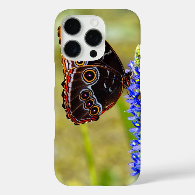 Blauer Morpho-Schmetterling auf einer Sumpforchide Case-Mate iPhone Hülle (Rückseite)