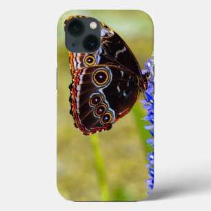 Blauer Morpho-Schmetterling auf einer Sumpforchide Case-Mate iPhone Hülle