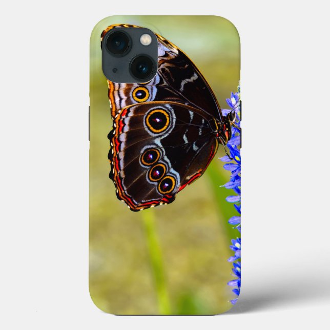 Blauer Morpho-Schmetterling auf einer Sumpforchide Case-Mate iPhone Hülle (Rückseite)