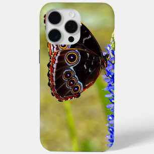 Blauer Morpho-Schmetterling auf einer Sumpforchide Case-Mate iPhone Hülle
