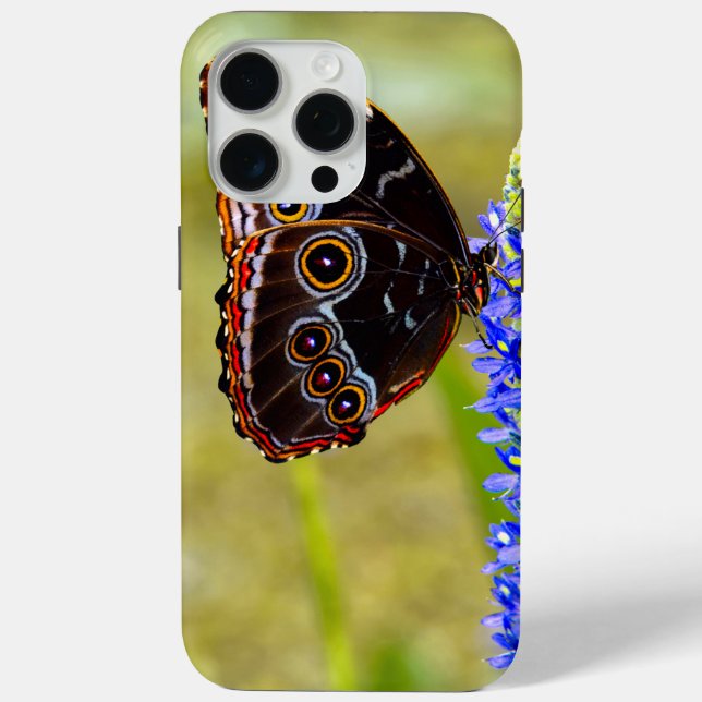 Blauer Morpho-Schmetterling auf einer Sumpforchide Case-Mate iPhone Hülle (Rückseite)
