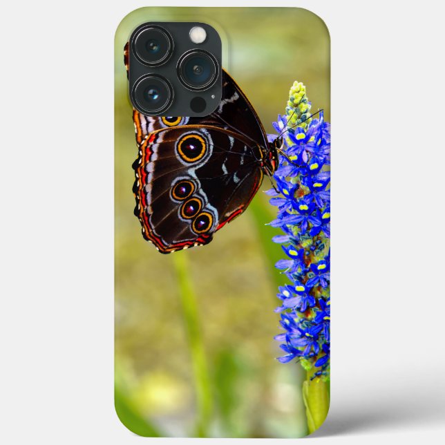 Blauer Morpho-Schmetterling auf einer Sumpforchide Case-Mate iPhone Hülle (Rückseite)