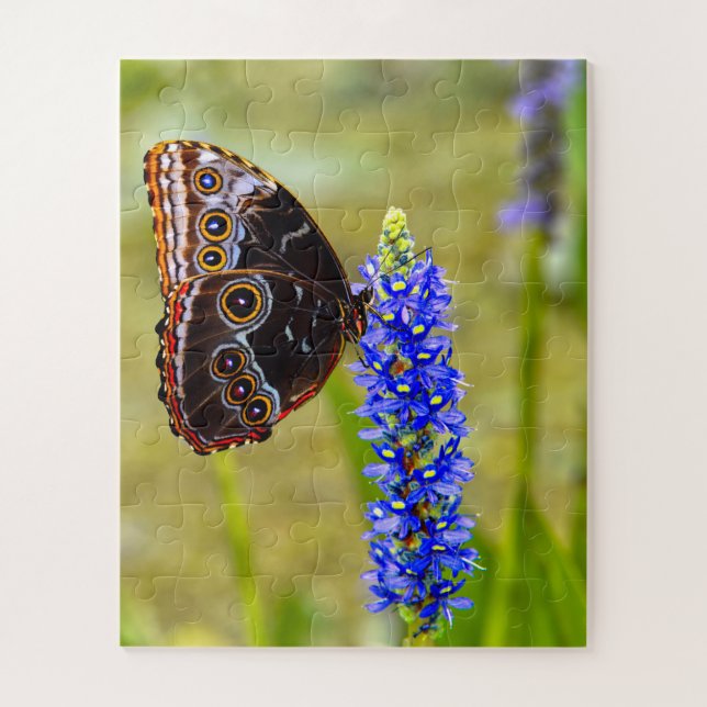 Blauer Morpho-Schmetterling auf einer Sumpforchide Puzzle (Vertikal)