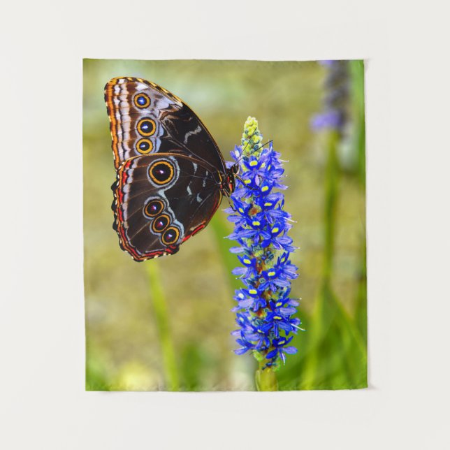 Blauer Morpho-Schmetterling auf einer Sumpforchide Wandteppich (Vorderseite)
