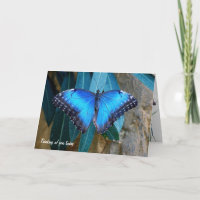 Blauer Morpho-Schmetterling denkt an Sie