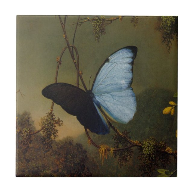 Blauer Morpho Schmetterling durch Martin Johnson Fliese (Vorderseite)