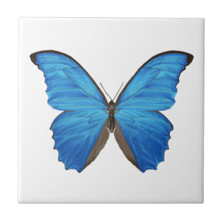 Blauer Morpho Schmetterling Fliese