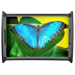 Blauer Morpho Schmetterling Florale Natur Kunst Serviertablett