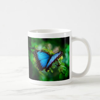 Blauer Morpho Schmetterling Kaffeetasse