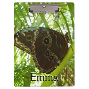 Blauer Morpho Schmetterling Naturfotografie Klemmbrett