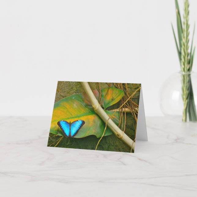 BLAUER MORPHO SCHMETTERLING NOTECARD KARTE (Vorderseite)
