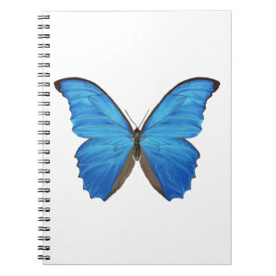 Blauer Morpho Schmetterling Notizblock