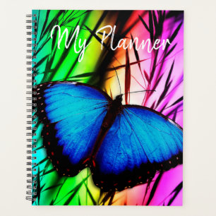 Blauer Morpho Schmetterling Planer
