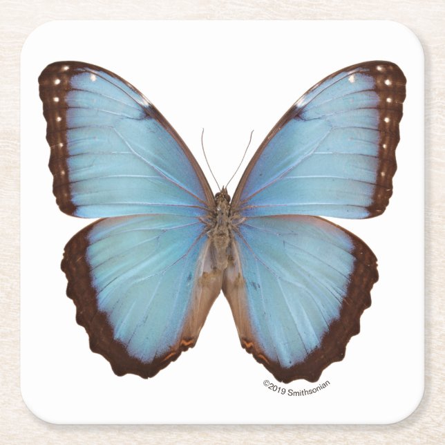 Blauer Morpho Schmetterling Rechteckiger Pappuntersetzer (Vorderseite)