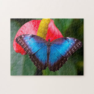 Blauer Morphofalter Schmetterling. Puzzle