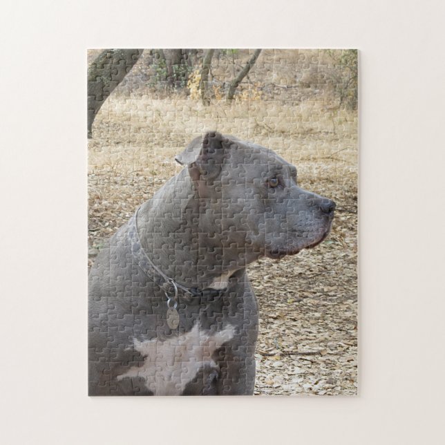 Blauer Nase-Pitbull-Puzzle Puzzle (Vertikal)