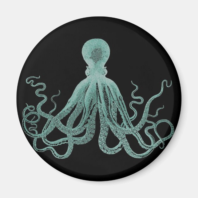 Blauer Oktopus-Magnet Magnet (Vorne)